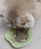 LEGENDSANDY蓝氏猎鸟乳鸽生骨肉冻干猫粮 全价成猫幼猫猫粮 盒装4.5kg 实拍图
