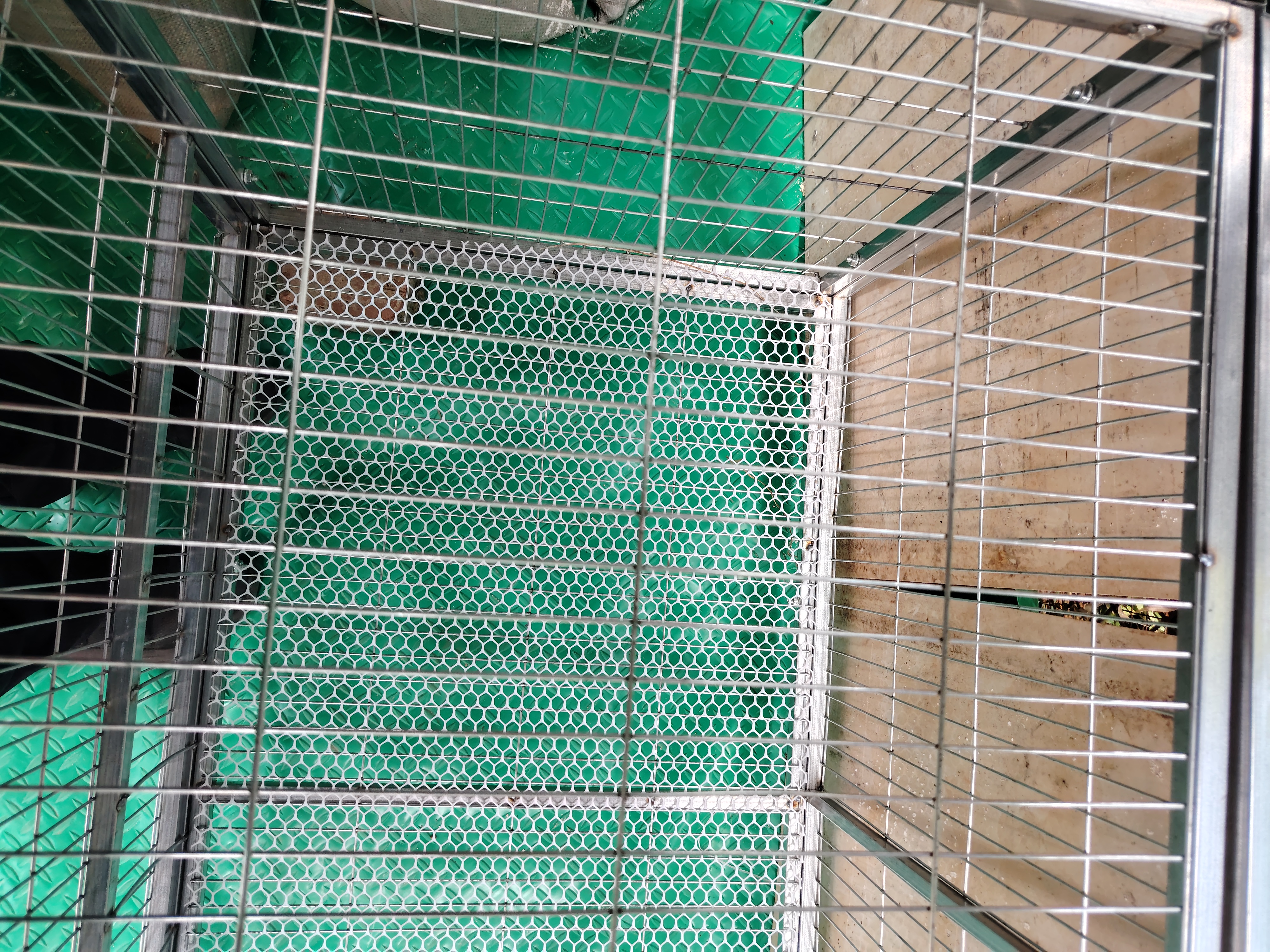 京东快递大号鸡笼家用室外镀锌防雨防黄鼠狼自动清粪鸡鸭鹅猫狗笼 【镀锌加粗方钢】150*58*62cm【侧开门天窗】 实拍图