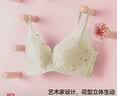 都市丽人26新款内衣女无钢圈文胸聚拢中薄款乳罩波斯菊蕾丝胸罩2B9506 实拍图