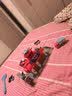 TaTanice儿童玩具车男孩越野车汽车模型仿真可开门惯性滑行大G车生日礼物 实拍图