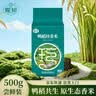 瑶珍鸭稻珍香米500g 鸭稻共生原生态香米 长粒香米 大米 新米 实拍图