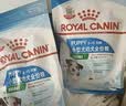 皇家狗粮 幼犬狗粮 宠物 小型犬 MIJ31 全价犬粮 2-10月 2KG 实拍图