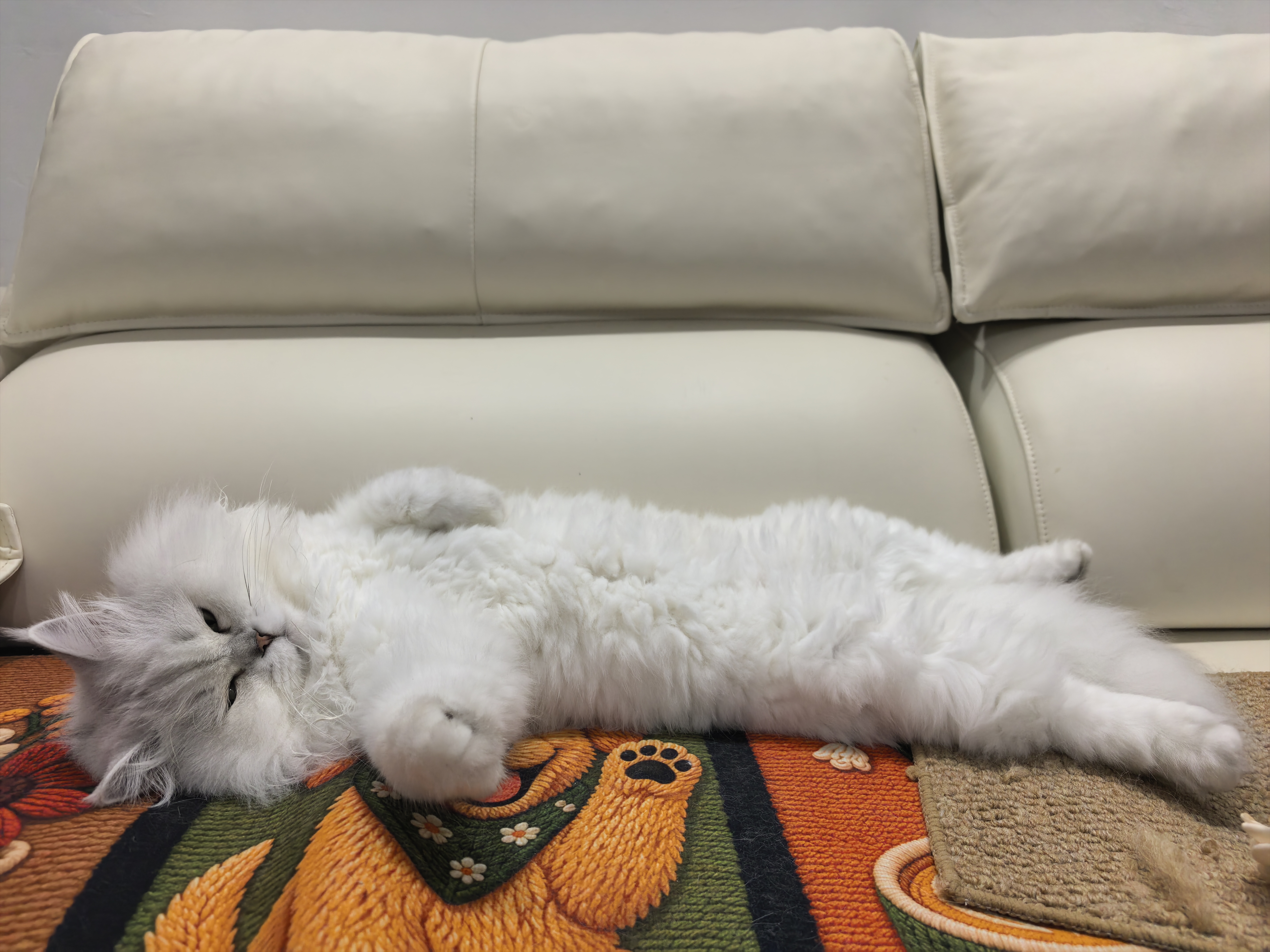 顽皮（Wanpy） 鲜肉鲜炖猫罐头鸡肉金枪鱼添加三文鱼85g*24猫零食 实拍图