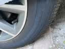 玛吉斯（MAXXIS）轮胎/汽车轮胎 205/55R16 91V EC1 适配朗逸/英朗/宝来 实拍图