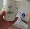 妙洁纸杯 100只*228ML 加厚挺食品级商务办公用品咖啡一次性茶水杯子 实拍图