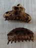 奇美拉（CHIMERA）2件洗澡抓夹发饰头饰韩版发夹后脑勺夹子马尾盘发发夹发卡 实拍图