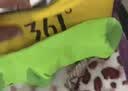 361°正品运动短袜男袜短筒透气吸汗减震防滑跑步袜 绿色/4双装 均码 实拍图