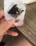 东阿阿胶桃花姬阿胶糕180g*2礼盒装即食阿胶 送长辈营养品礼物中秋礼品 实拍图