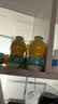 金豆芽儿童金银花柚子汁155ml*16瓶便携孩子饮料宝宝果汁西柚汁 实拍图