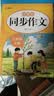 2026北教小雨 小学生同步作文三年级上册（彩图版）与小学语文课本配套使用 积累写作素材 拓宽写作思路 大字宽行距 实拍图