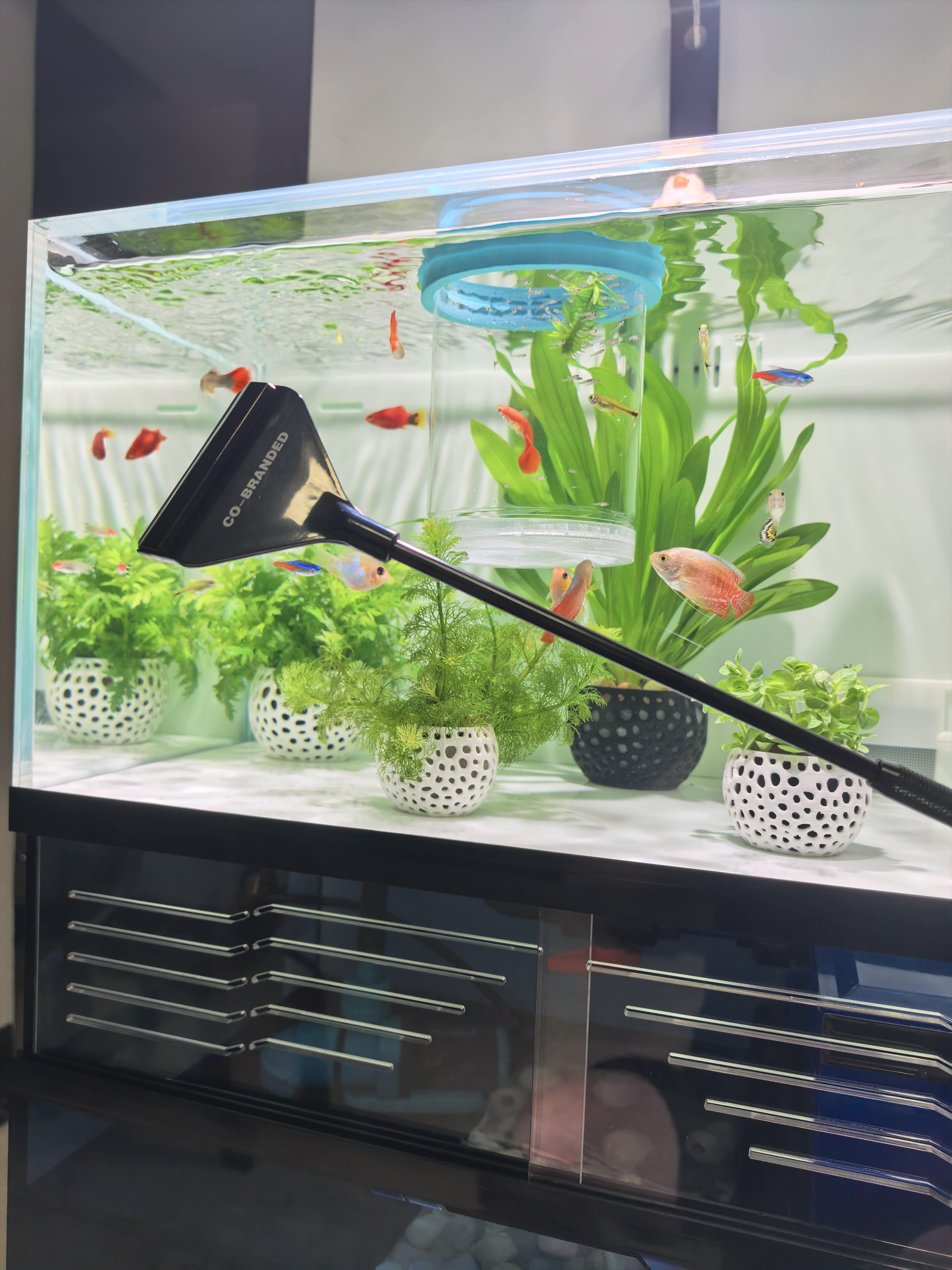 创宁鱼缸刮藻刀【A版不可调节】清洁工具无死角刷子长柄铲刀神器 晒单实拍图