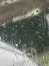 rain·x汽车玻璃防雨剂疏水剂后视镜雨敌车窗驱水镀膜剂镀晶送毛巾海绵 实拍图