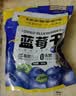 三只松鼠每日蓝莓干500g 蜜饯果干酸甜休闲零食下午茶孕妇儿童健康零食 实拍图