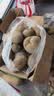 京鲜生 2026甘肃定西土豆净重5斤 单果100g+ 早餐 马铃薯洋芋 源头直发 实拍图