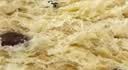 阿尔发无糖精红豆吐司面包礼盒0蔗糖手撕面包糖尿人孕妇早餐零食品1000g 实拍图