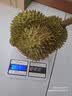 京鲜生进口金枕巴掌榴莲2个装净重4.5-5.5斤单果2-3斤源头直发 实拍图