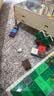 乐高（LEGO）积木我的世界21583 史蒂夫针叶林冒险男女孩儿童玩具生日礼物 实拍图