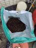 德沃多30L植物营养土通用养花种菜有机基质土壤花土果蔬花卉盆栽 实拍图