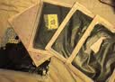 霏慕情趣内衣性感jk制服房事高档女仆秘书睡衣丝袜大码sm羞耻诱惑战袍 实拍图