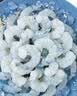 新虹宝黑虎虾仁200g（18-22粒） 实拍图