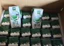 伊利【新鲜日期】金典纯牛奶早餐奶250ml*16盒3.6g 礼盒装 实拍图