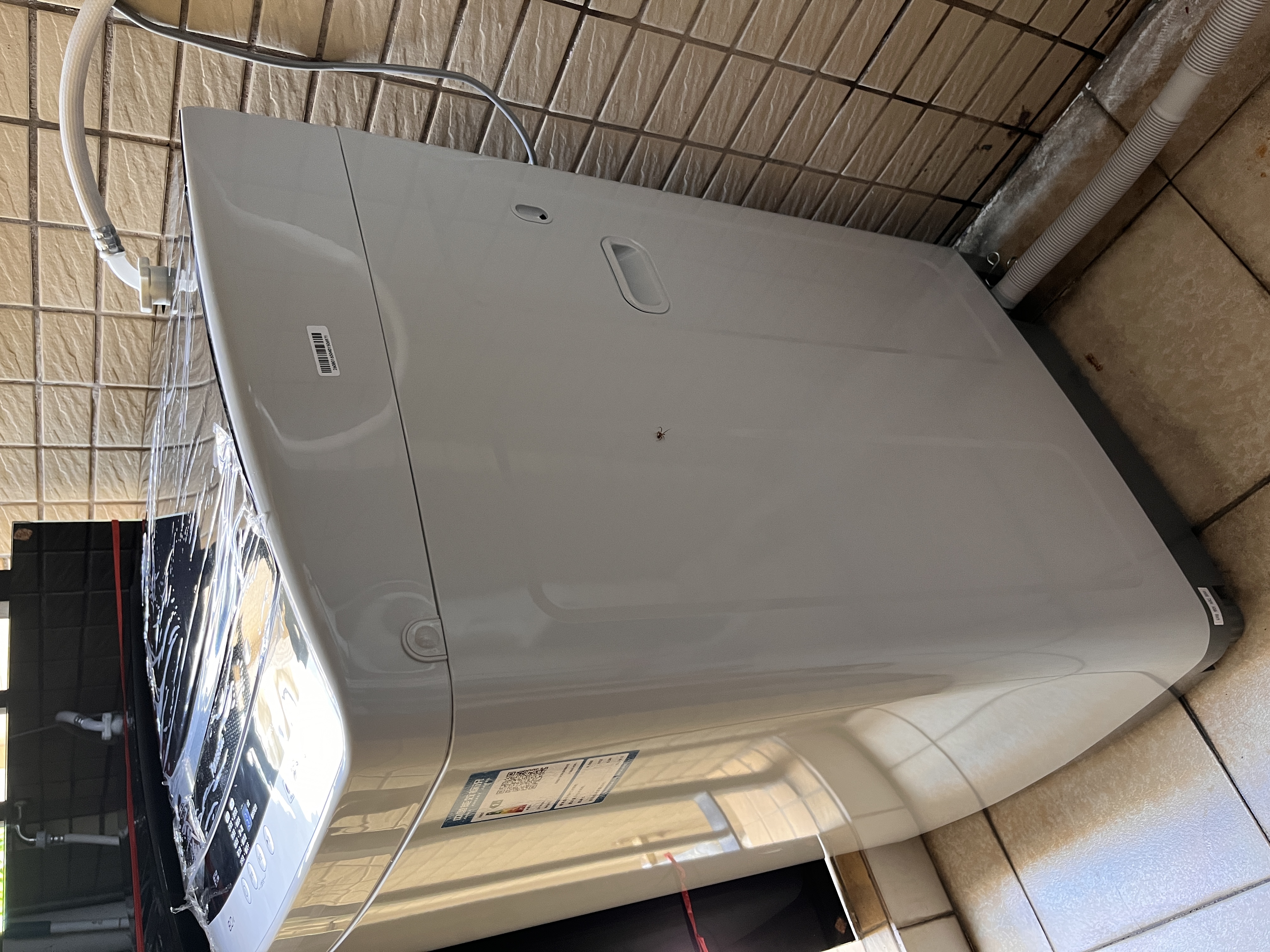 松下（Panasonic）租房适用 波轮洗衣机 8KG 全自动家用 智能桶自洁 宽瀑布水流 XQB80-K3F1京东自营 实拍图