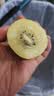 佳沛（zespri）金奇异果25-27粒原箱特大果124-146g猕猴桃中秋节礼品送水果礼盒 实拍图