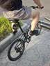 大行（DAHON）P8折叠自行车20英寸8级变速经典P8单车KBC083 消光绿经典版--京仓 实拍图