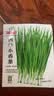 ldeal理想农业 四季小香葱种子阳台盆栽种植蔬菜种籽小葱种子 约1500粒 实拍图