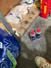 WD-40汽车窗润滑剂玻璃升降异响消除油橡胶条保护剂上光软化保养2瓶装 实拍图