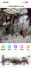 海尔（Haier）800万双摄家用摄像头手机无线远程监控器360度无死角带夜视全景语音自动旋转可对话室内外云台 实拍图