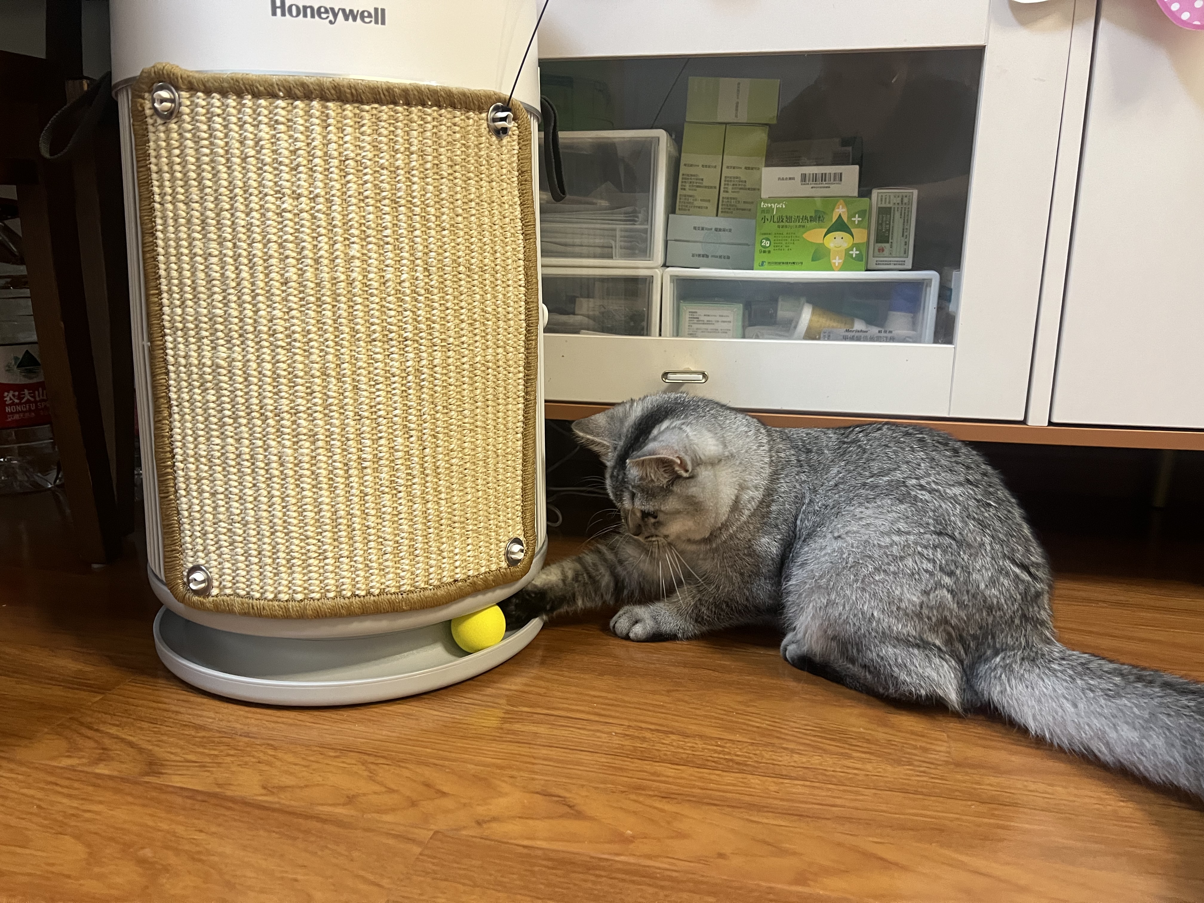 霍尼韦尔（Honeywell）宠物空气净化器吸猫毛除过敏源猫猫搭子 猫毛净化器杀菌消毒除异味KJ360F-C22W 实拍图