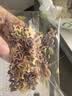 爷爷的农场有机婴幼儿太空造型意大利面200g宝宝面条婴儿面条儿童早餐1岁+ 实拍图