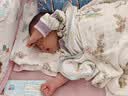 森宝Semper瑞典进口经典版婴幼儿配方奶粉1段DHA乳脂球膜脑发育 实拍图