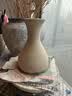 史丹利3L包装营养土园艺有机土通用型种花种菜养花专用泥炭土壤种植土 实拍图