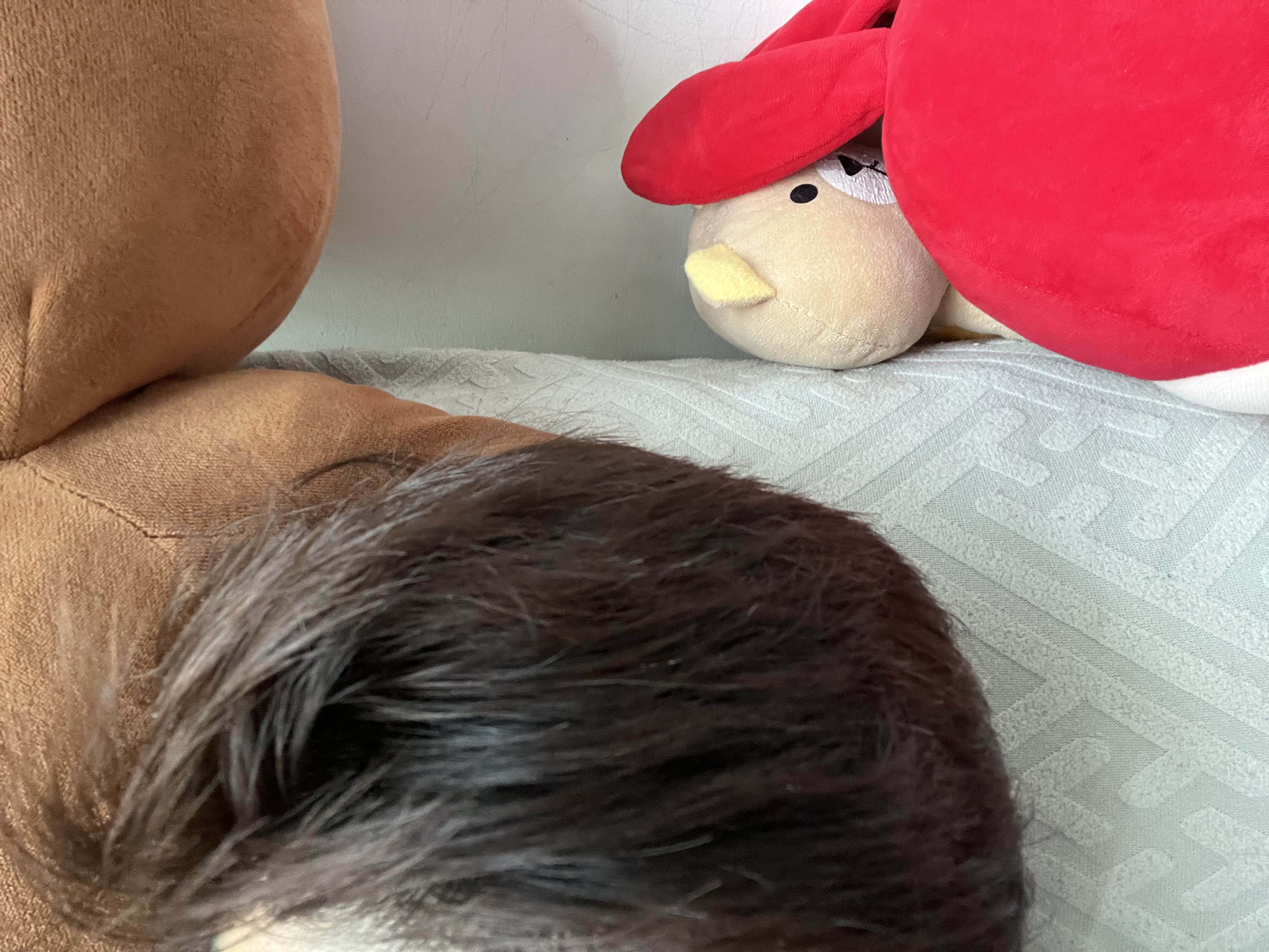 忆丝芸染发膏亚麻灰棕染发剂男士专用植物自己在家染无刺激不沾头皮进口 实拍图