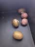 佳沛（zespri）新西兰金奇异果12粒特大果124-146g猕猴桃中秋节礼品送水果礼盒 实拍图
