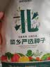 北蔬 蔬菜种子种苗大全生菜香菜菠菜秋冬阳台菜籽 6种叶菜类蔬菜种子 实拍图