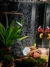 森森鱼缸增氧泵水族箱氧气泵LQE-50家用小型充氧泵3W单孔+全套配件 实拍图