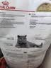 皇家猫粮 英短成猫粮 BS34 通用粮 12月以上 2KG 实拍图