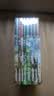 国际动物小说品藏书系精选 套装8册 沈石溪主编 全球动物小说经典之作 中外动物文学经典合集 小学生必读文学经典 生命教育经典读物 实拍图