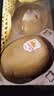 佳沛（zespri）新西兰金奇异果22粒巨大原箱146-175g猕猴桃中秋节礼品送水果礼盒 实拍图