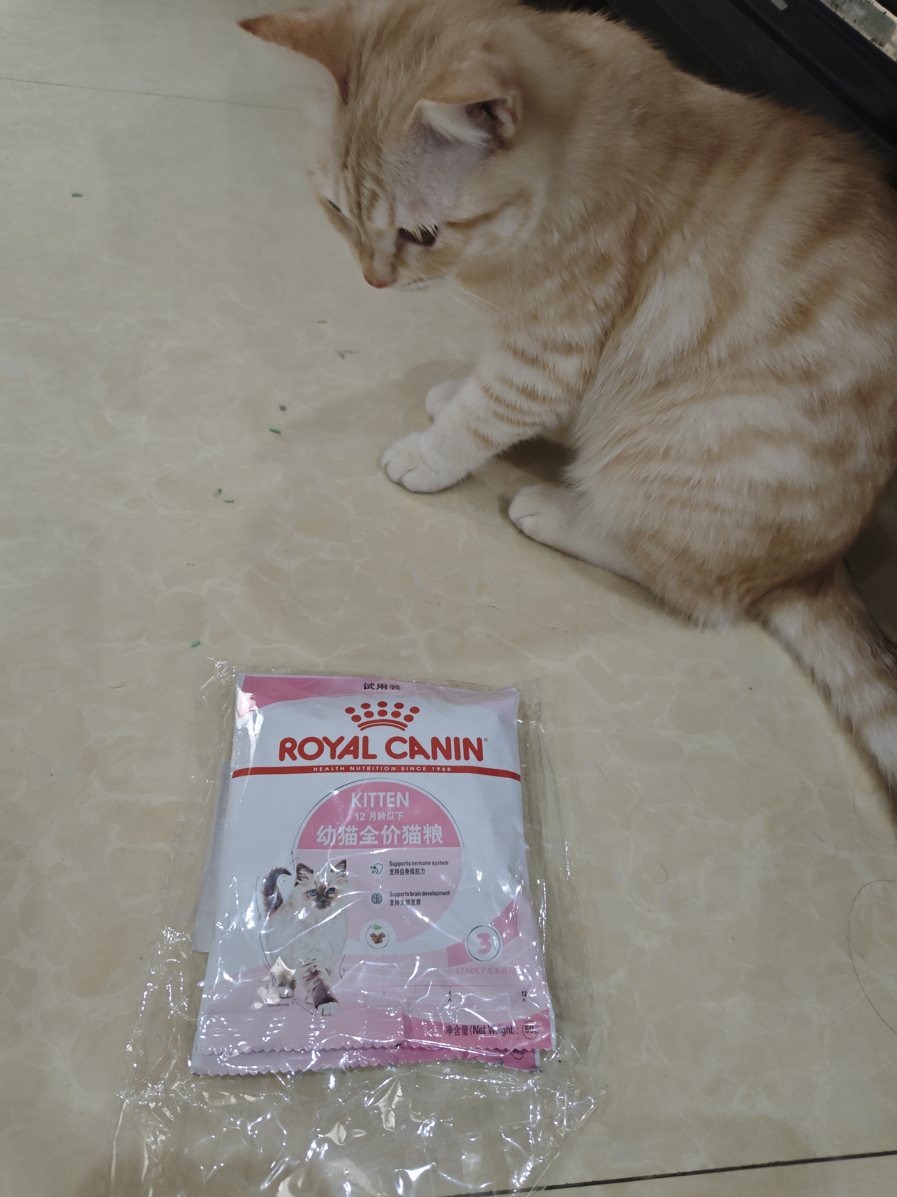 皇家猫粮 幼猫猫粮K36-适用于12月龄50g*3 实拍图
