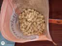 比比赞（BIBIZAN）龙岩花生五香味500g/袋 每日坚果炒货带壳干果下酒休闲零食品 实拍图