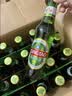 青岛啤酒（TsingTao）经典啤酒 316ml*24瓶 整箱装 国庆出游 实拍图