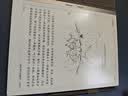 掌阅（iReader）Smart X5 Ultra 10.65英寸智能办公本电子书阅读器 AI墨水屏电纸书平板手写笔记本  极地白 实拍图