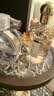 娇兰（Guerlain）花草水语玫瑰玫瑰淡香水75ml香氛化妆品彩妆礼盒生日礼物送女友 实拍图