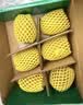 佳沛（zespri）新西兰阳光金奇异果6粒装88-103g猕猴桃水果中秋节礼品送水果礼盒 实拍图