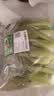 七鲜24小时油菜苗250g(长度≤17cm) 实拍图