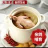 硒全食美无抗富硒汤鸽净重520g（2只）冷冻鸽子滋补煲汤烧烤生鲜鸽子 实拍图